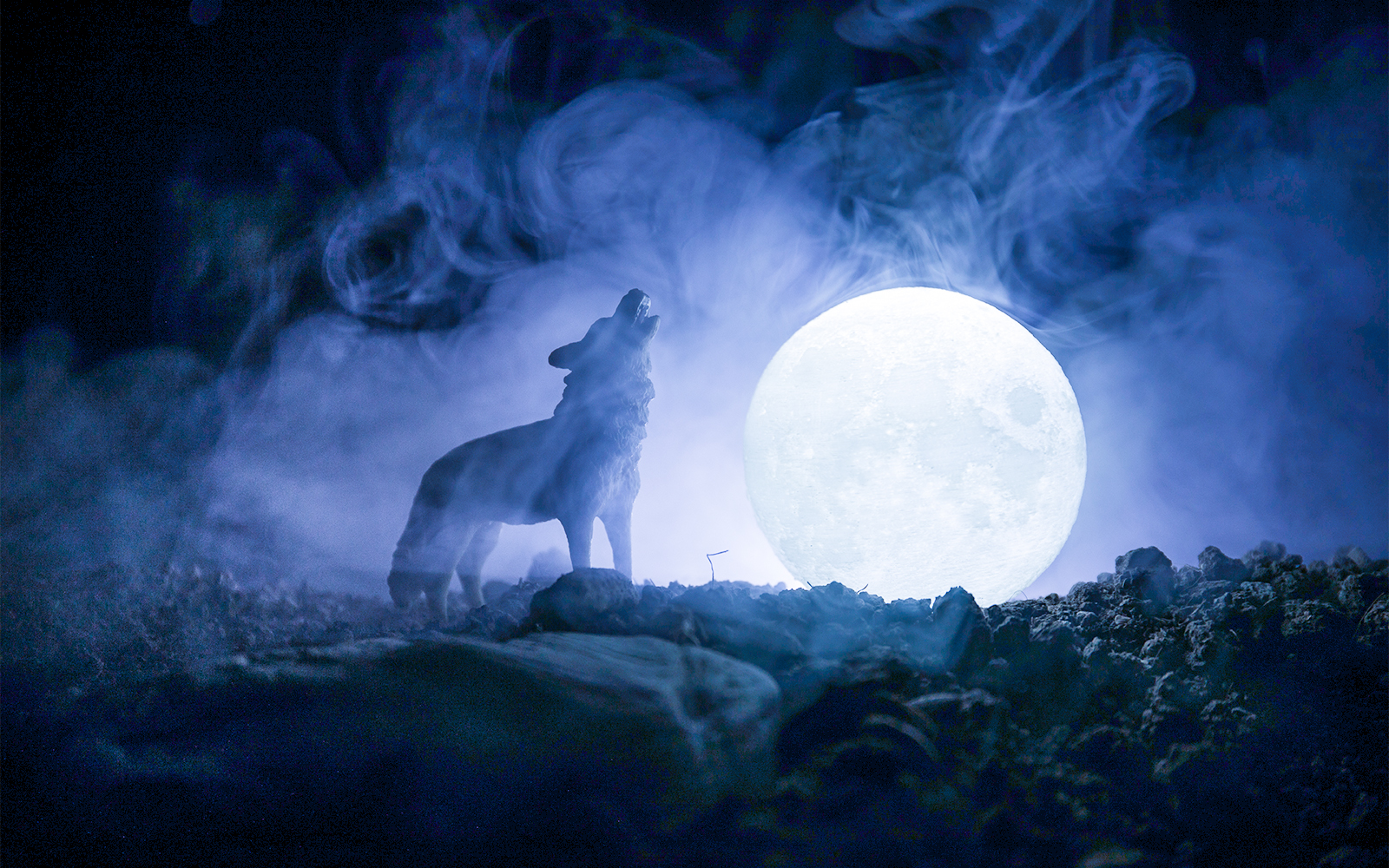 Werewolf howling against a foggy background with a full moon.