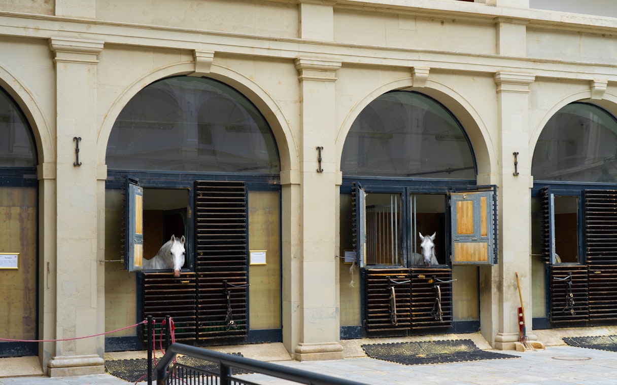Stallburg Imperial Stables in Vienna with horses peeking from stable doors.