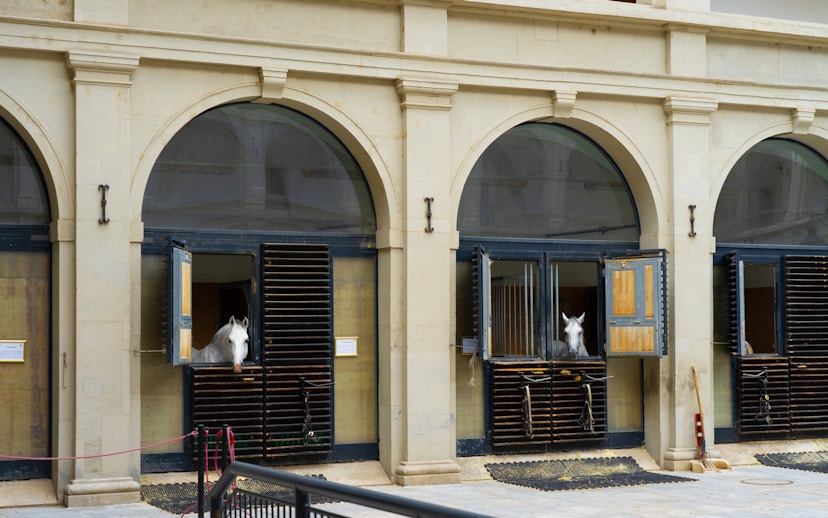 Stallburg Imperial Stables in Vienna with horses peeking from stable doors.