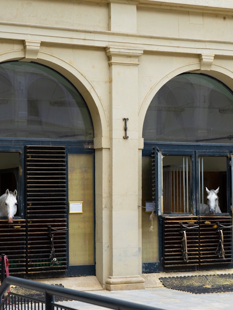 Stallburg Imperial Stables in Vienna with horses peeking from stable doors.
