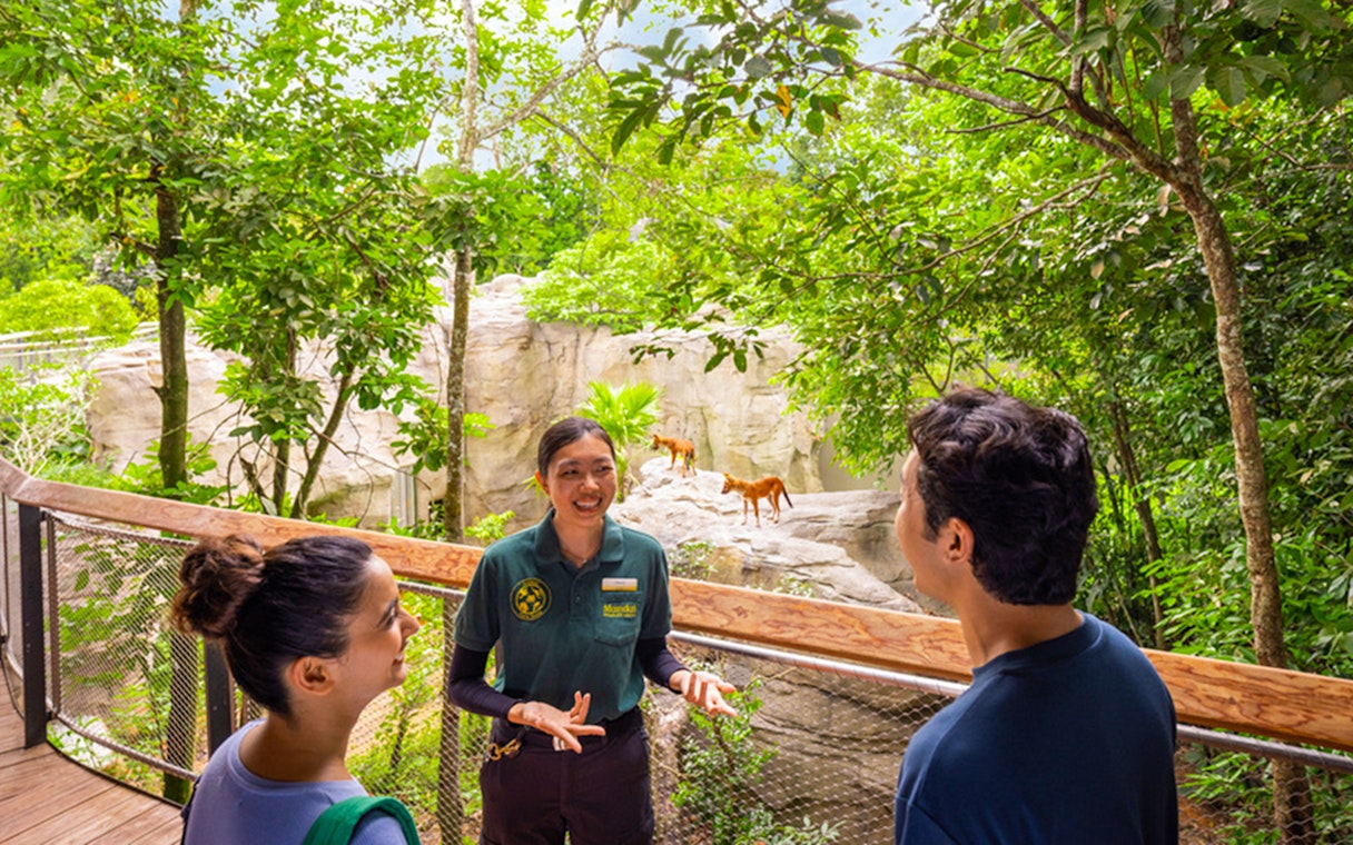 Guide discussing wildlife with visitors at a zoo's flexible habitat exhibit.