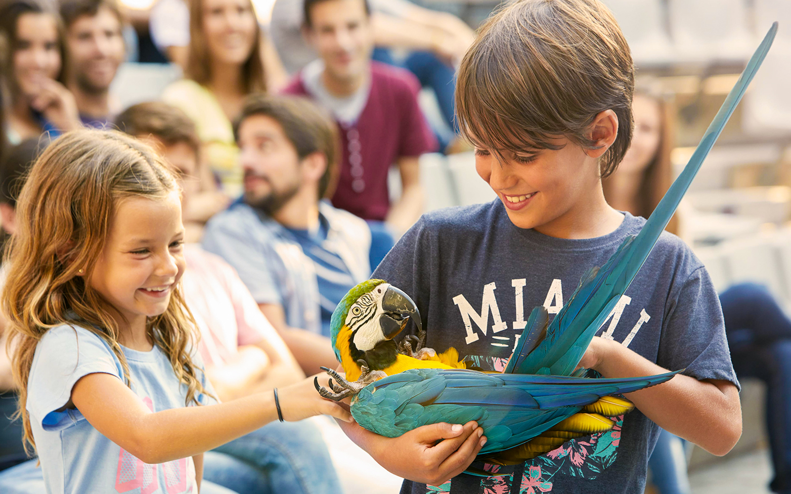 Colorful tropical birds perched on lush greenery in Aves del Paraíso, Costa Rica.