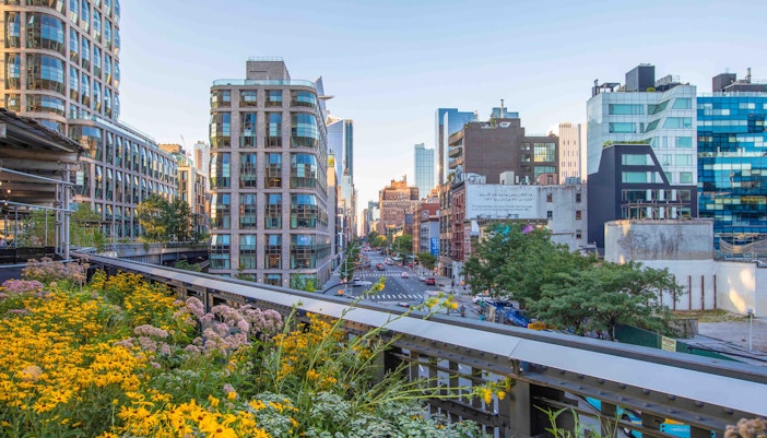 High Line park walkway with city skyline view in New York City.