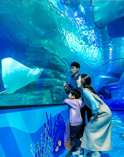 Family observing stingrays in underwater tunnel at SEA LIFE Busan Aquarium.
