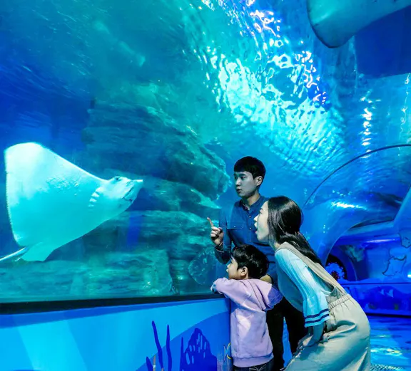 Family observing stingrays in underwater tunnel at SEA LIFE Busan Aquarium.