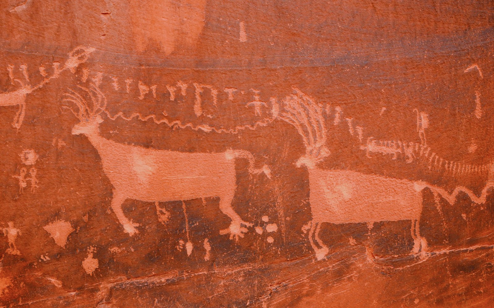 Petroglyphs of animals on red rock during Monument Valley Loop Drive.