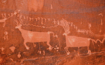 Petroglyphs of animals on red rock during Monument Valley Loop Drive.