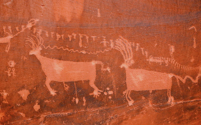 Petroglyphs of animals on red rock during Monument Valley Loop Drive.