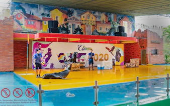 Seals performing with trainers at a colorful indoor venue.