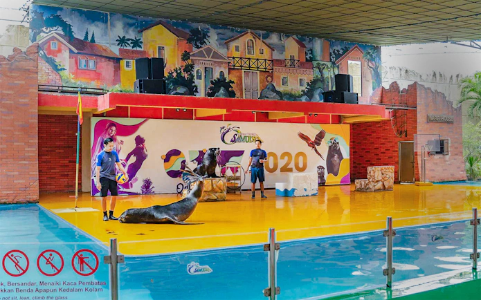 Seals performing with trainers at a colorful indoor venue.
