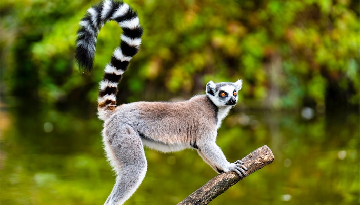 Sendaviva Natural Park tickets