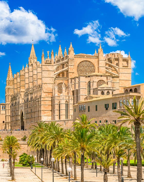 Royal Palace of La Almudaina with palm trees in Palma, Mallorca.