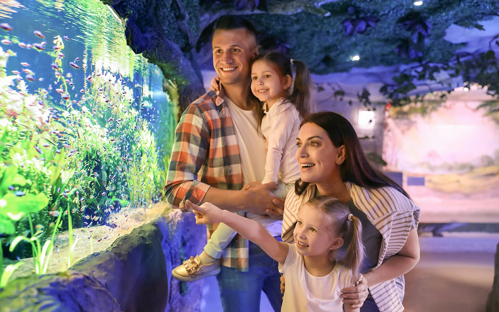 Enjoy a family-friendly day out