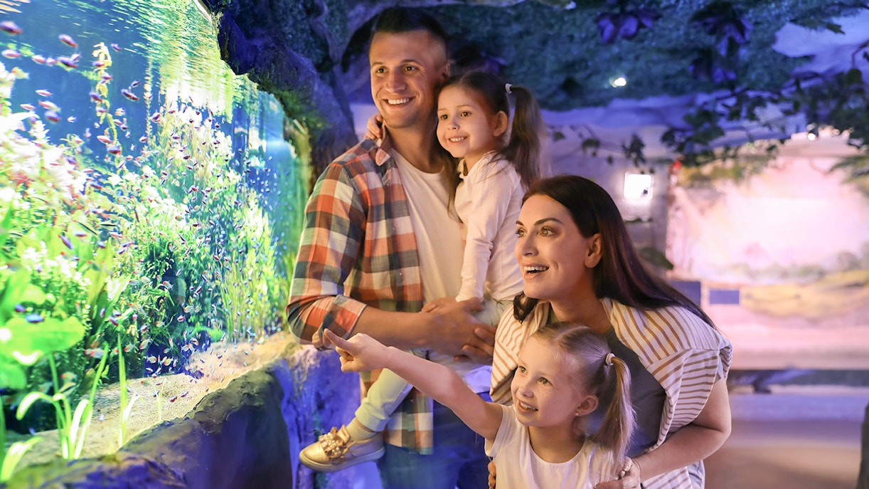 Seville Aquarium Gift Shop