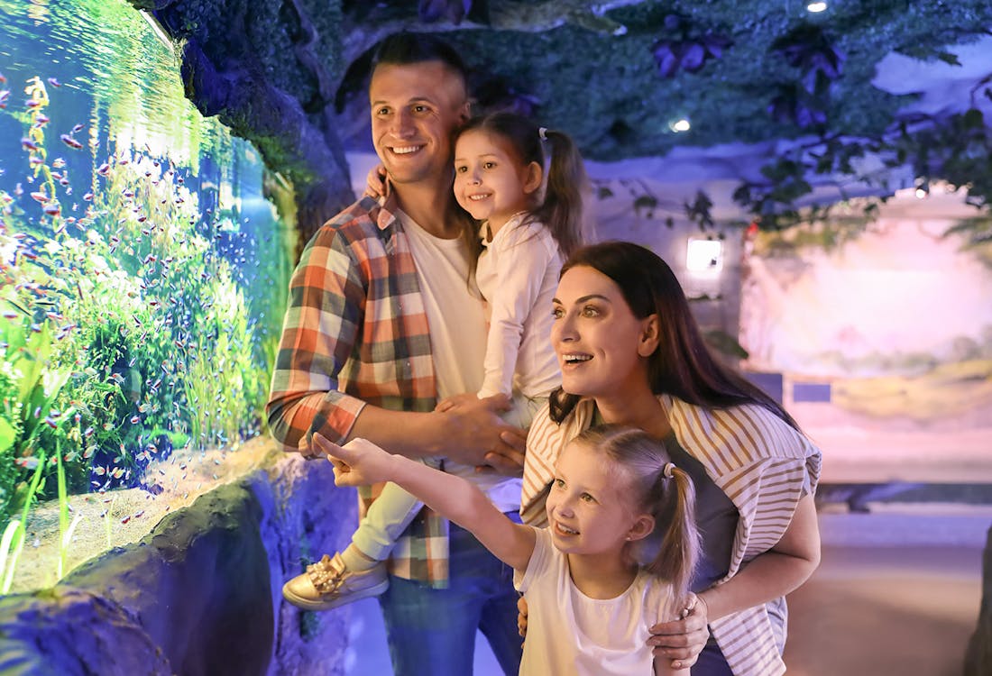 Disney world