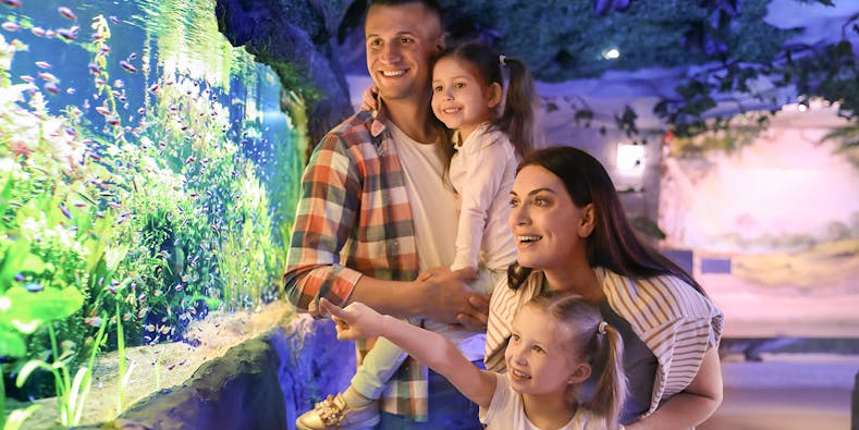 Acquario di Siviglia