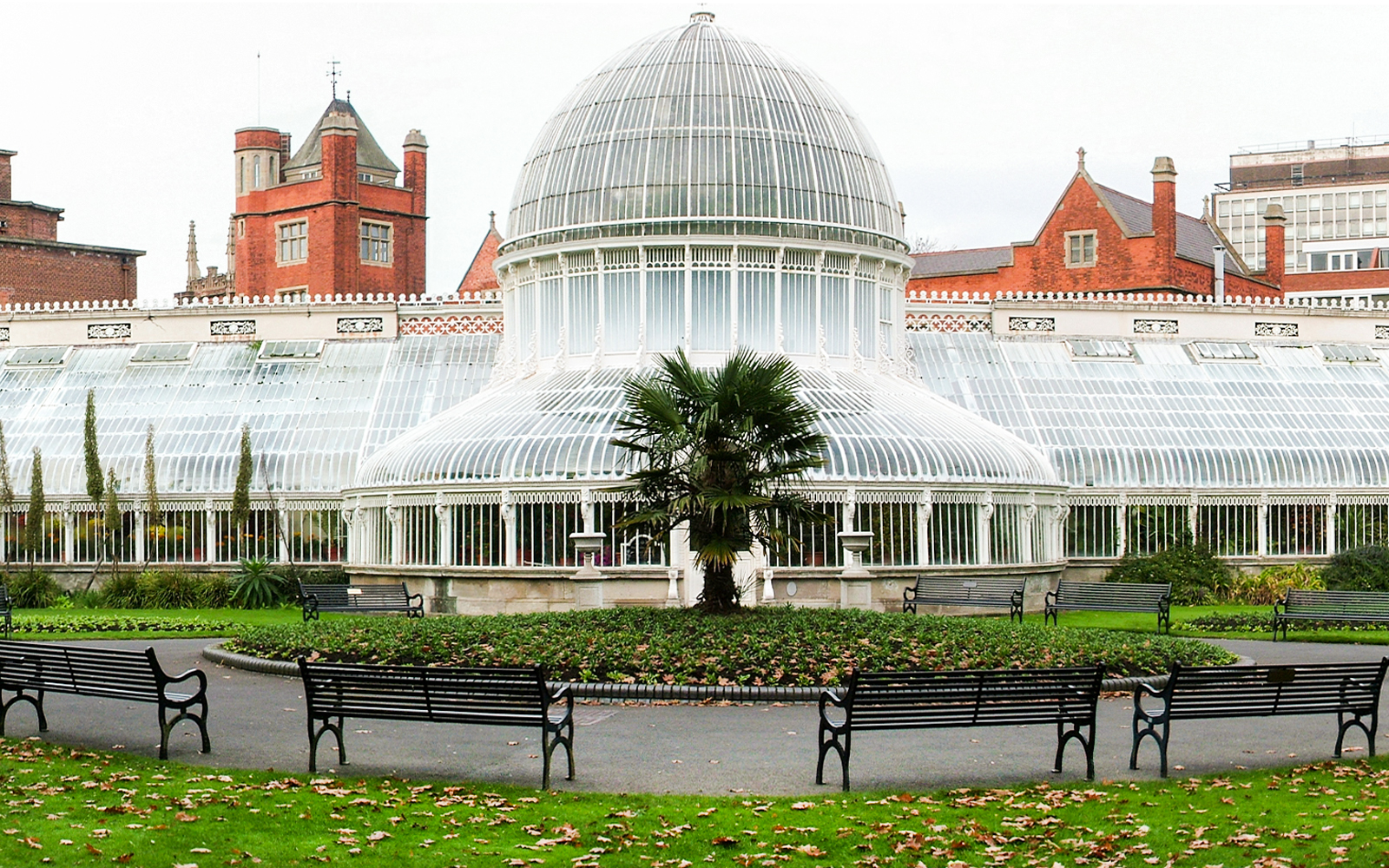Belfast Botanic Gardens glasshouse with vibrant flowers and lush greenery.
