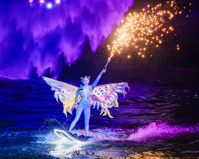 Symphony of the Sea Show With Dinner Options