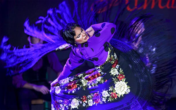 Flamenco dancer performing at Tablao Flamenco Alma, wearing a floral dress with a fringed shawl.