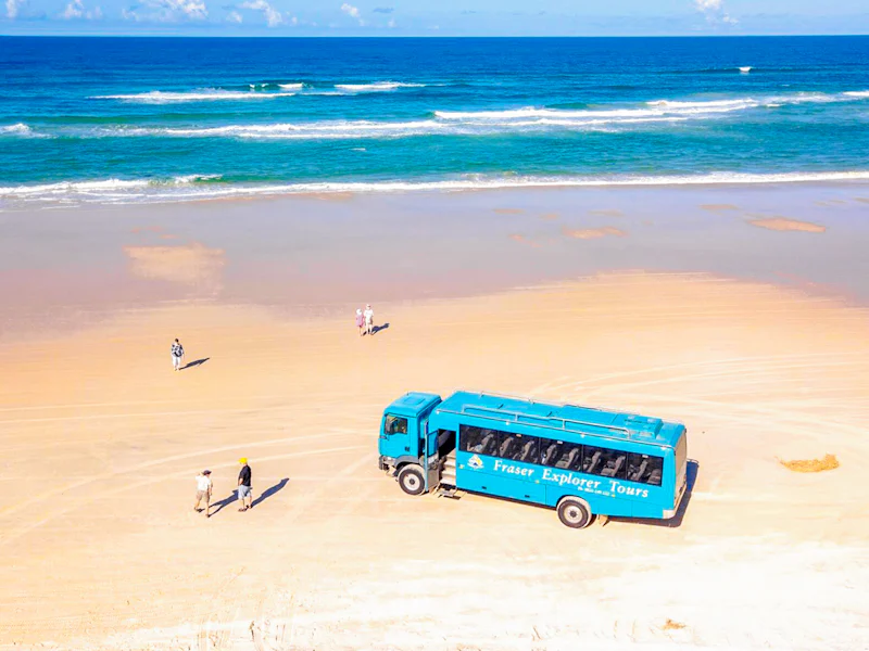 From Hervey Bay Kgari Fraser Island 1 Day Classic Coach Tour - Brisbane