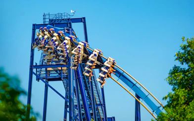 Roller coaster riders on the Great White at SeaWorld San Antonio.