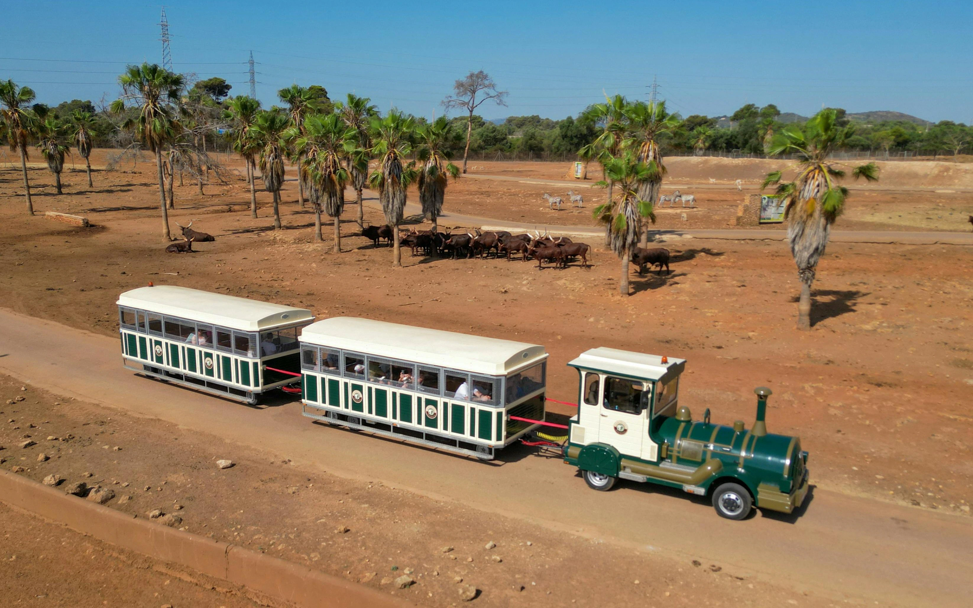 Safari train tour through Mallorca wildlife park with palm trees and animals.