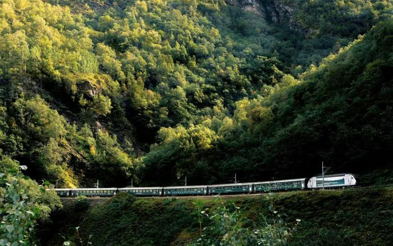 Bergen to Flåm train passing through lush green mountains.