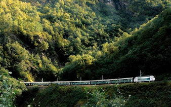 Bergen to Flåm train passing through lush green mountains.