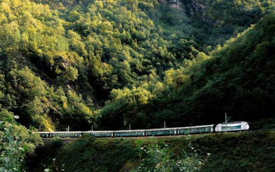 Bergen to Flåm train passing through lush green mountains.