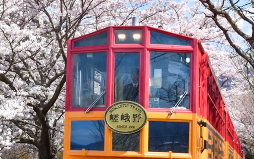 Sagano Romantic Train passing cherry blossoms in Kyoto, Japan.