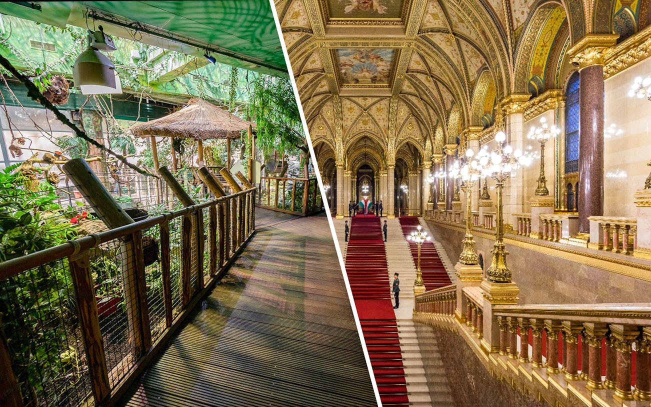Tropicarium Aquarium walkway and ornate interior of Budapest Parliament.