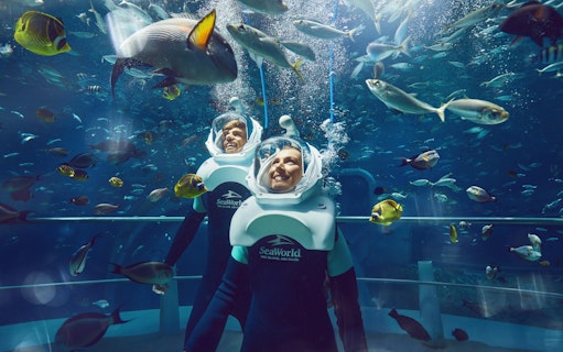 billets seaworld abu dhabi-3