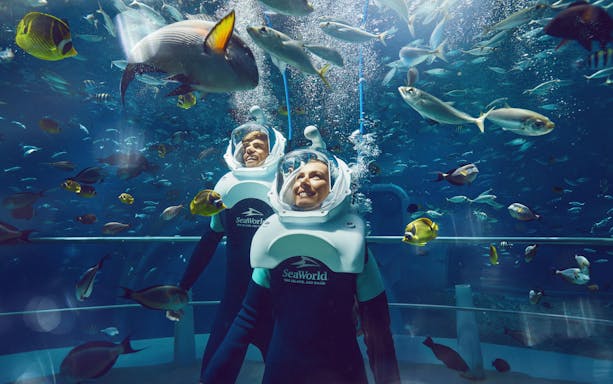 seaworld abu dhabi tickets-3