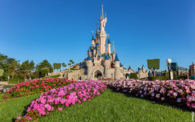 Disneyland Paris castle with vibrant flower garden, part of the Royal Combo tour.