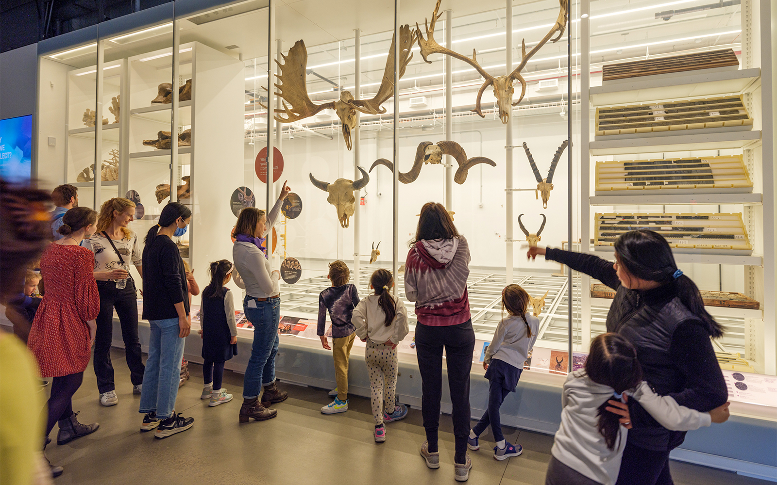 American Museum of Natural History