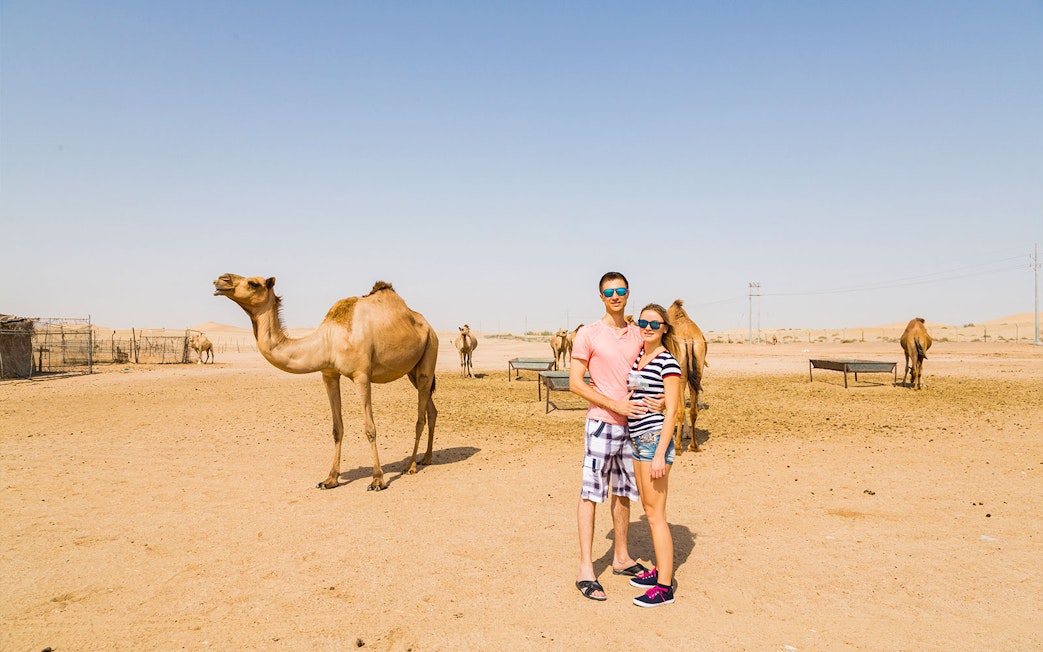 Couple standing near camels in Dubai desert during safari tour.