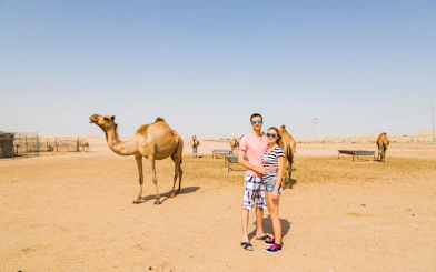 Couple standing near camels in Dubai desert during safari tour.