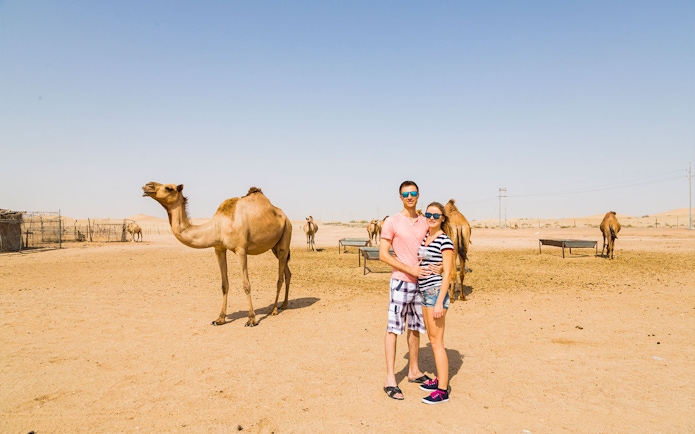 Couple standing near camels in Dubai desert during safari tour.