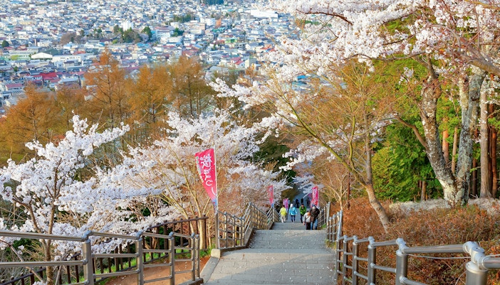 People walking down steps lined with cherry blossoms in Arakurayama Sengen Park, Japan.