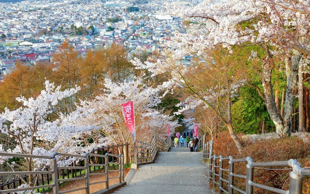 People walking down steps lined with cherry blossoms in Arakurayama Sengen Park, Japan.