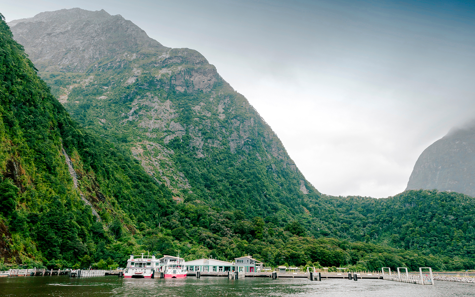 Milford Sound passenger terminal pier with boats and lush mountains.