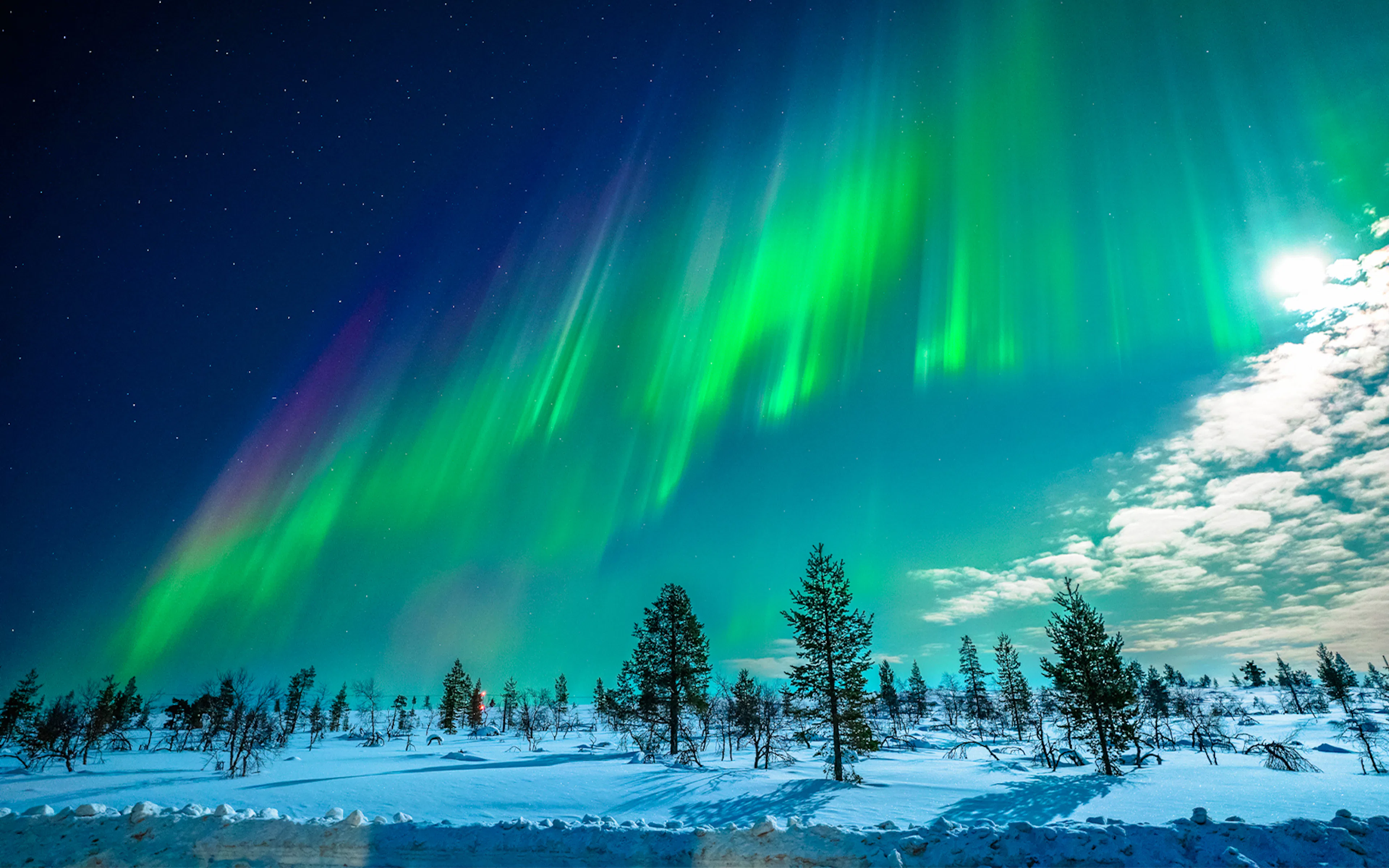 Northern Lights over snowy landscape in Tromso, Norway.