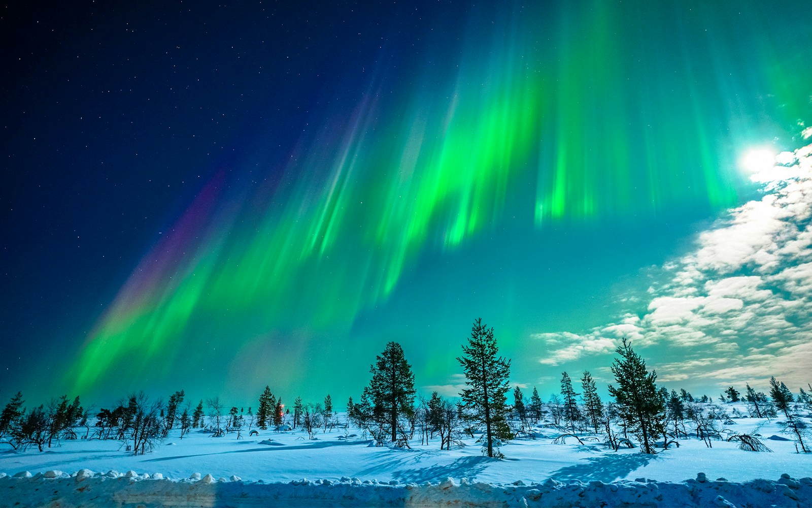 Northern Lights over snowy landscape in Tromso, Norway.