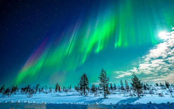 Northern Lights over snowy landscape in Tromso, Norway.