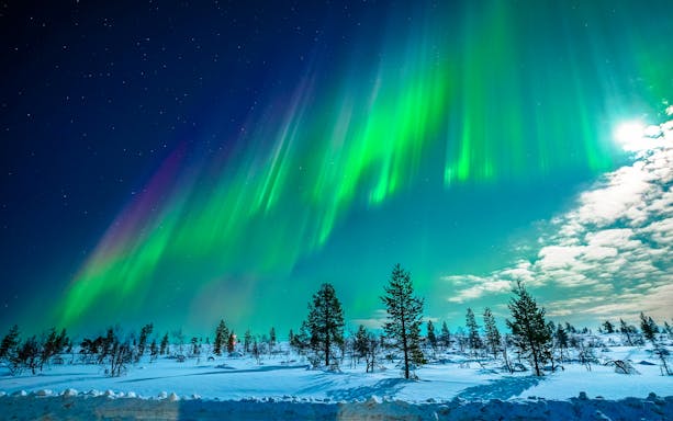 Northern Lights over snowy landscape in Tromso, Norway.