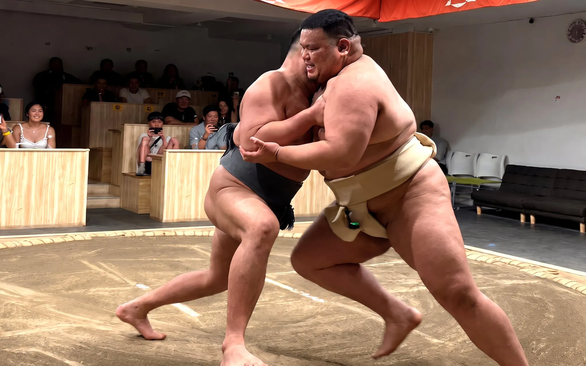 Sumo wrestlers competing in a ring during a live show in Kyoto.
