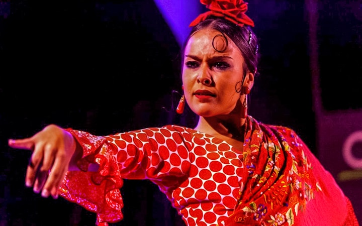 Flamenco dancer performing at Cardamomo in Madrid.