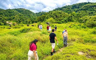 Tourists walking through a green valley in Phuket's elephant nature park.
