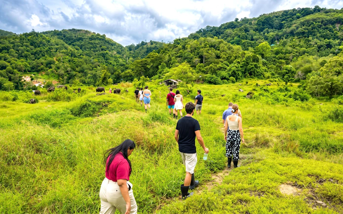 Tourists walking through a green valley in Phuket's elephant nature park.
