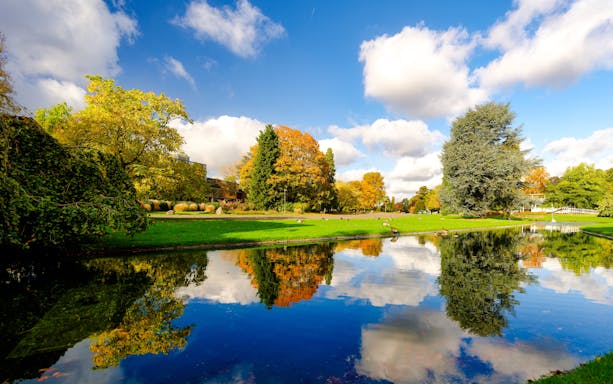 Autumn trees reflected in a pond at Rheinpark, Germany.